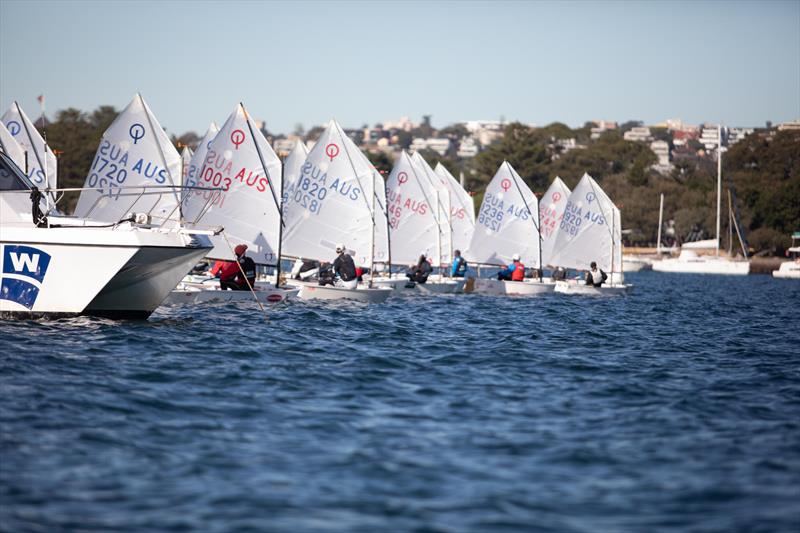 NSW Optimist Interclub photo copyright David Griffiths taken at Woollahra Sailing Club and featuring the Optimist class
