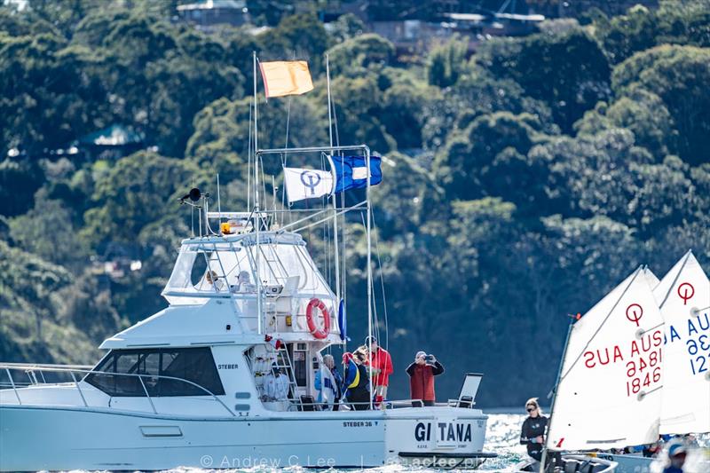 2026 NSW Optimist Interclub Series - photo © Andrew C Lee
