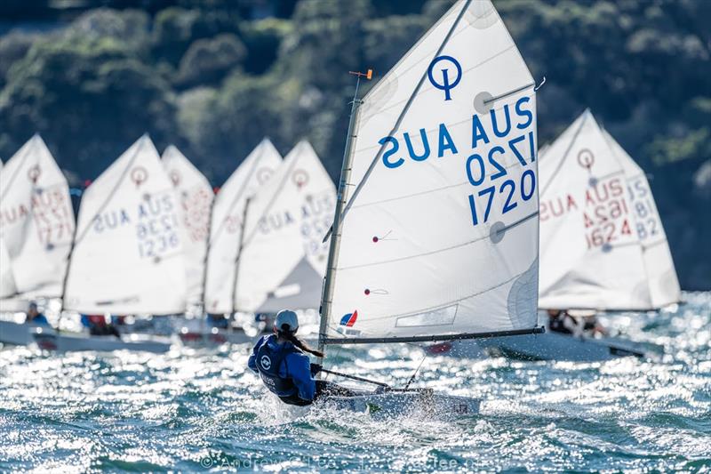2026 NSW Optimist Interclub Series - photo © Andrew C Lee