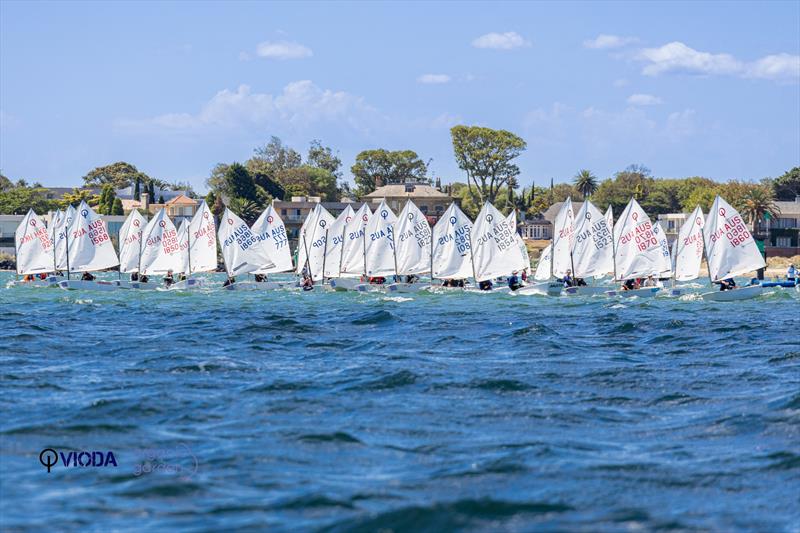 Australia Victorian International Optimist dinghy sailors' post-pandemic battles photo copyright Leah Keh and Organic Garden taken at  and featuring the Optimist class