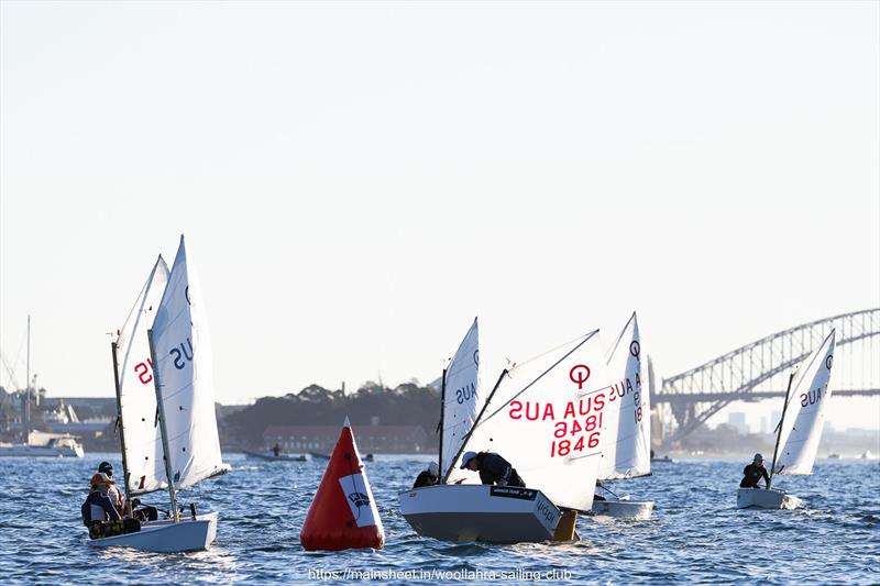 East Coast Championships 2026 at Woollahra Sailing Club photo copyright www.mainsheet.in taken at Woollahra Sailing Club and featuring the Optimist class