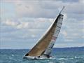 Sailed double-handed Ruyjin won the race - Apollo Bay Race 2022 © Chris Furey