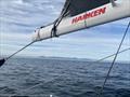 © David Schmidt Mountains to port, humpbacks to starboard © David Schmidt