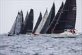 21st Sandberg PalmaVela - ORC 3 class
