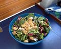 The baby carrots might have frozen solid, but fresh salads were a more successful venture