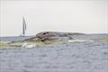 Long Offshore Race - Garmin ORC DH European Championship Helsinki 2025 