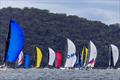 The Pittwater Cup fleet did the whole race under spinnaker - magic - 2026 Pantaenius Pittwater Regatta