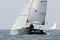 &copy; Sander van der Borch / North Sea Regatta