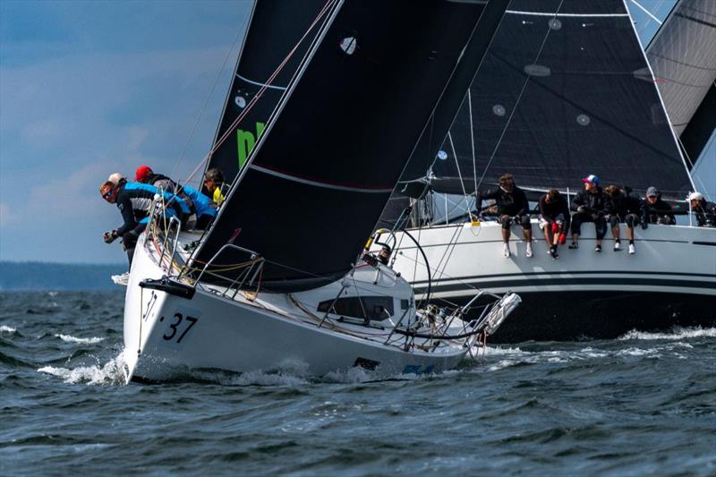 Matilda has been impressively consistent in her lead of Class C - 2019 SSAB ORC European Championship - photo © Felix Diemer