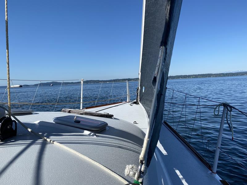 Searching for shag carpet and indicators early in the 2023 Blake Island Race aboard Dark Star, Jonathan and Libby McKee's Riptide 44 photo copyright David Schmidt taken at Seattle Yacht Club and featuring the ORC class