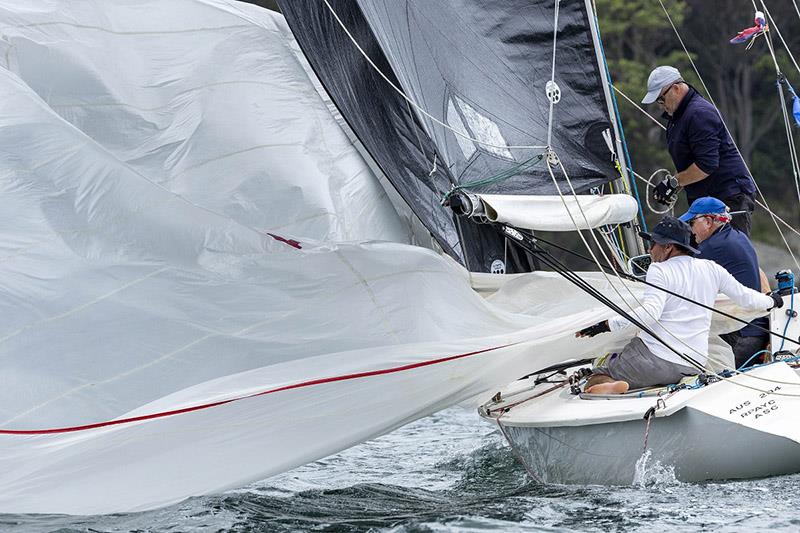 Force 8 was a force to be reckoned with in Division 4 - ORC NSW Championship 2024 photo copyright Andrea Francolini taken at Royal Prince Alfred Yacht Club and featuring the ORC class