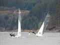 Osprey Dam to Dam races at Kielder Water © Angela Mamwell