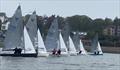 Osprey Scottish & Northern Tour at Royal Tay YC © Ian Hunter