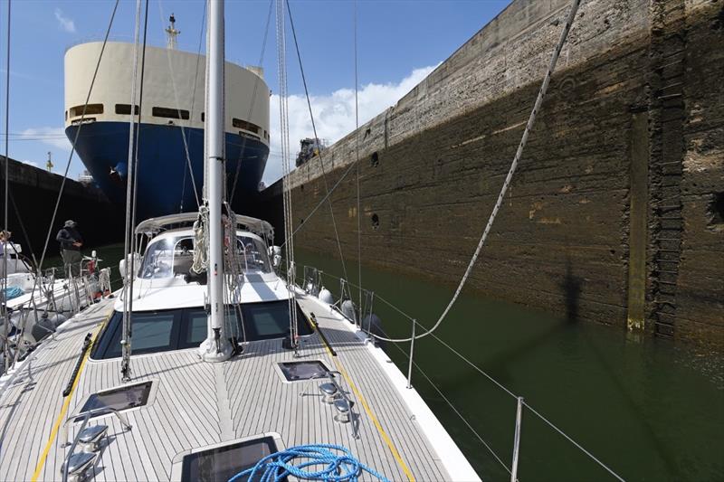 Babe passing through the Pedro Miguel lock in the Panama canal - photo © Rick Tomlinson