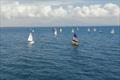 A flock of Oz Geese at the Seafront Residences Regatta, San Juan, Philippines © Anon