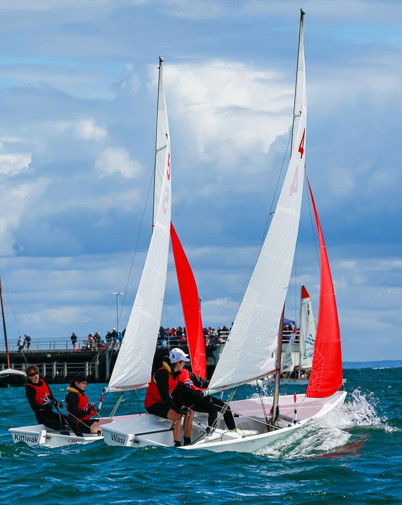 Victorian School Team Sailing State Championships 2023 photo copyright Alan Dillon taken at Mornington Yacht Club and featuring the Pacer class