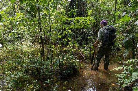 Solar charged Pale Blue Earth Batteries are used by Ethan Duvall in wild life research in the Amazon _ November 2025 - photo © Ethan Duvall