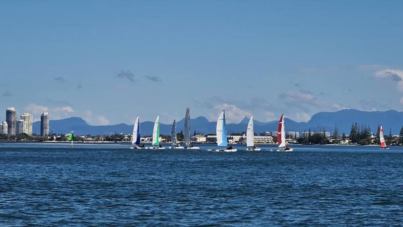 Southport YC to host 2020 Queensland Paper Tiger State Championship photo copyright Lori Clements taken at  and featuring the Paper Tiger class