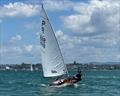 Nelsen Meachem - P class - 2024 Tauranga Cup, January 9, 2024, Tauranga © Gary Smith