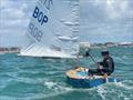 Felix Carter - P class - 2024 Tauranga Cup, January 9, 2024, Tauranga © Gary Smith