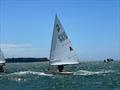 Bella Jenkins - P class - 2024 Tauranga Cup, January 9, 2024, Tauranga © Gary Smith