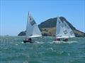 P class - 2024 Tauranga Cup, January 9, 2024, Tauranga © Gary Smith