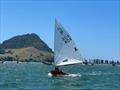 Callum Hyde - P class - 2024 Tauranga Cup, January 9, 2024, Tauranga © Gary Smith