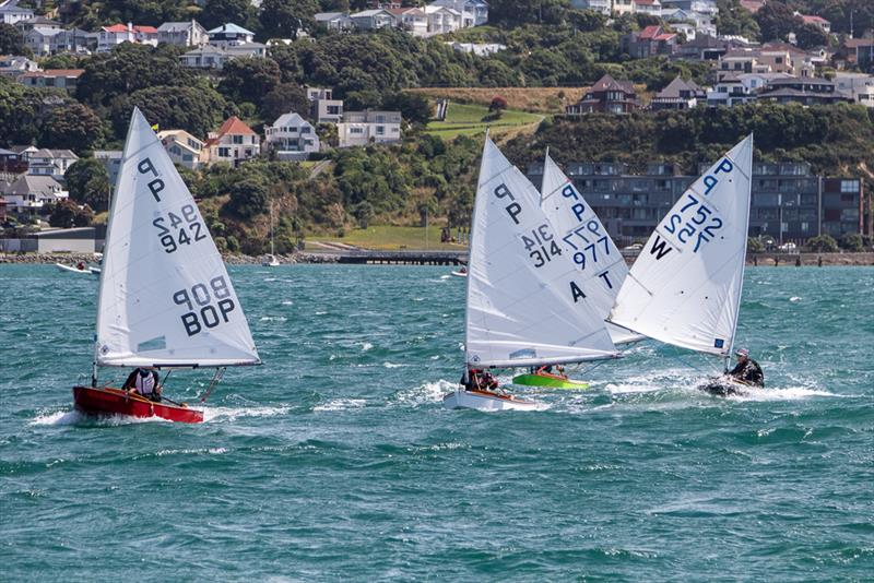 P Class: Day 1 2018 Tanner Cup - Evans Bay Yacht & Motor Boat Club - January 3, 2019 photo copyright Deb Williams taken at Evans Bay Yacht & Motor Boat Club and featuring the P class class