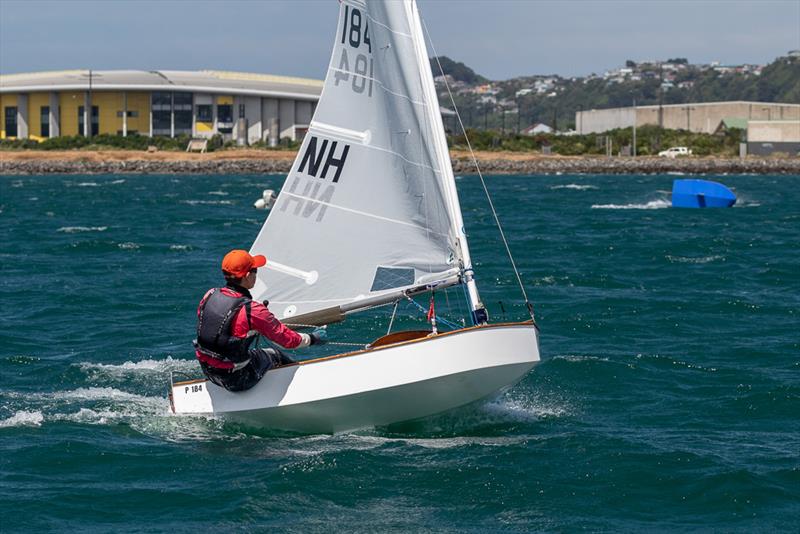 P Class: Day 1 2018 Tanner Cup - Evans Bay Yacht & Motor Boat Club - January 3, 2019 photo copyright Deb Williams taken at Evans Bay Yacht & Motor Boat Club and featuring the P class class