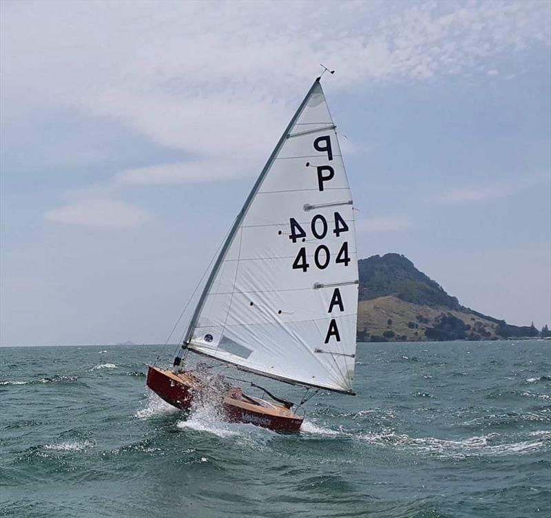 Tim Howse -  P class - Tanner Cup - Tauranga Yacht and Power Boat Club - January 2019 photo copyright Tauranga Yacht and Power Boat Club taken at  and featuring the P class class