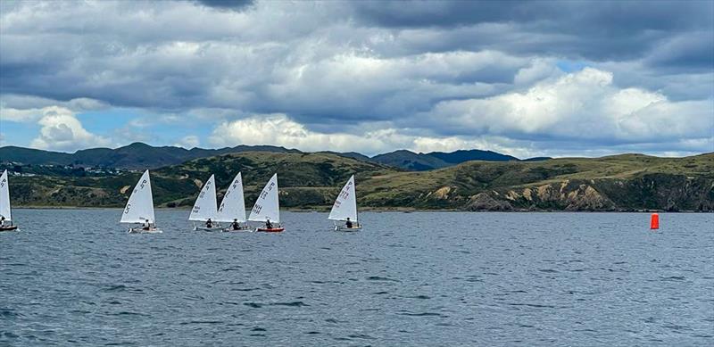 P Class - Tanner Cup - Plimmerton BC - January 2023 photo copyright PBC taken at Plimmerton Boating Club and featuring the P class class