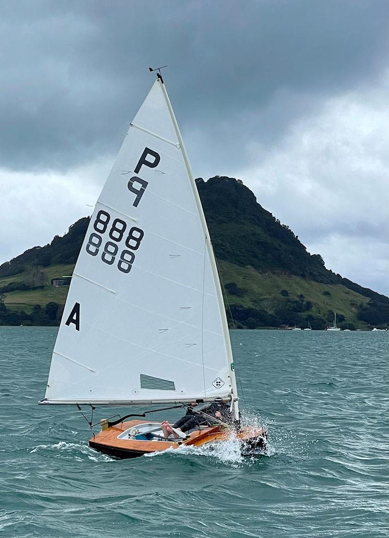 P Class Centenary: Nelsen Neacham in P888 photo copyright Gary Smith taken at Tauranga Yacht & Powerboat Club and featuring the P class class