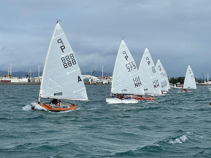 tauranga powerboat and yacht club