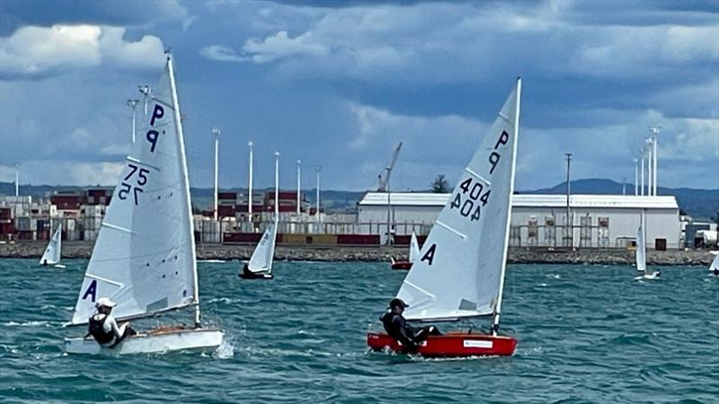  P class - 2024 Centenary Trophy, January 6, 2024, Tauranga photo copyright Gary Smith taken at Tauranga Yacht & Powerboat Club and featuring the P class class