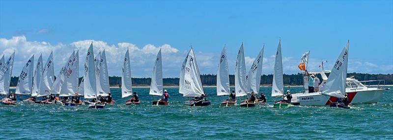 P class - 2024 Tauranga Cup, January 8, 2024, Tauranga - photo © Gary Smith