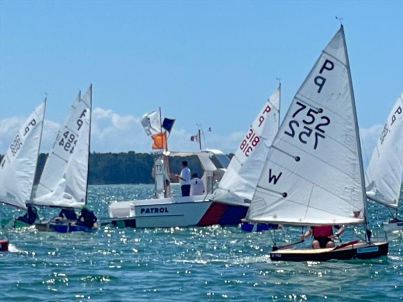 P class - 2024 Tauranga Cup, January 8, 2024, Tauranga photo copyright Gary Smith taken at Tauranga Yacht & Powerboat Club and featuring the P class class