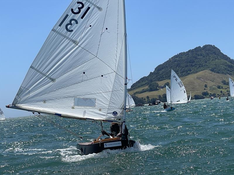 Lauren Arnold - P class - 2024 Tauranga Cup, January 9, 2024, Tauranga photo copyright Gary Smith taken at Tauranga Yacht & Powerboat Club and featuring the P class class