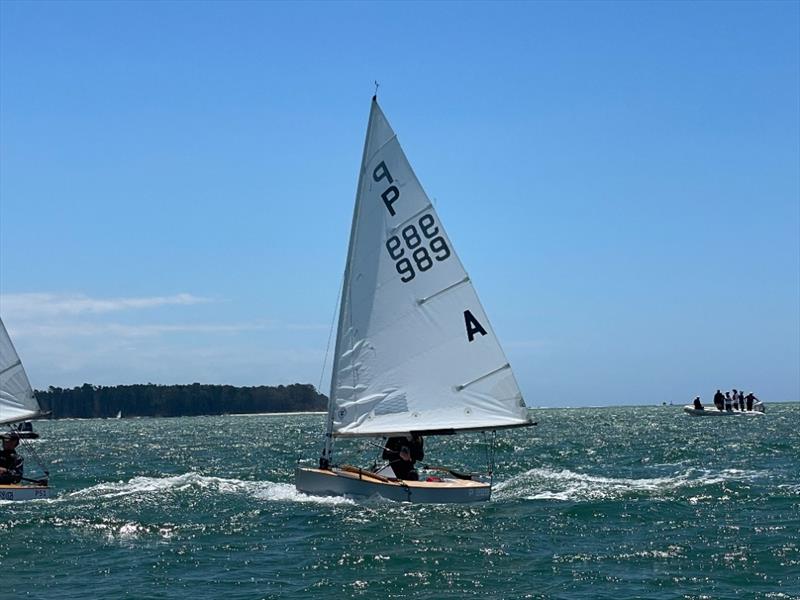 Bella Jenkins - P class - 2024 Tauranga Cup, January 9, 2024, Tauranga photo copyright Gary Smith taken at Tauranga Yacht & Powerboat Club and featuring the P class class