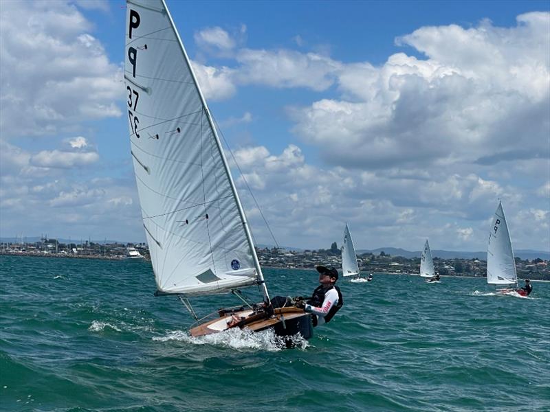 Lachy Wills - P class - 2024 Tauranga Cup, January 9, 2024, Tauranga photo copyright Gary Smith taken at Tauranga Yacht & Powerboat Club and featuring the P class class