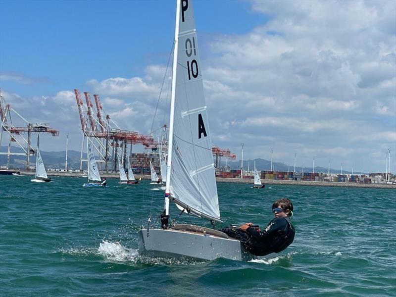 Hugo Smith - P class - 2024 Tauranga Cup, January 9, 2024, Tauranga photo copyright Gary Smith taken at Tauranga Yacht & Powerboat Club and featuring the P class class