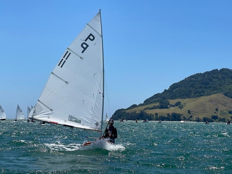 Ollie Shirley - P class - 2024 Tauranga Cup, January 9, 2024, Tauranga photo copyright Gary Smith taken at Tauranga Yacht & Powerboat Club and featuring the P class class