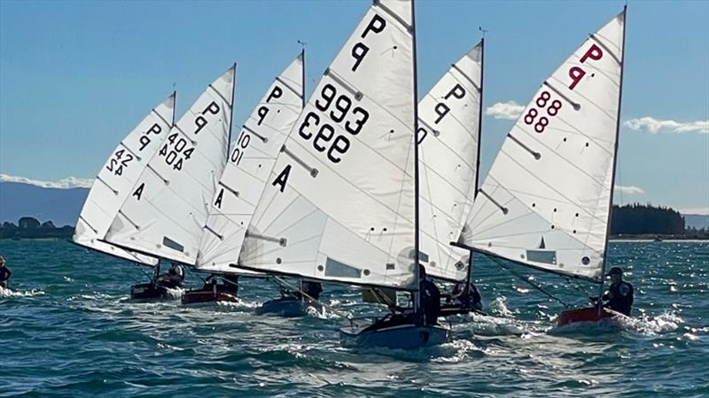 Wihau Shield - P class - 2024 Tauranga Cup, May 4, 2024, Tauranga - photo © Gary Smith