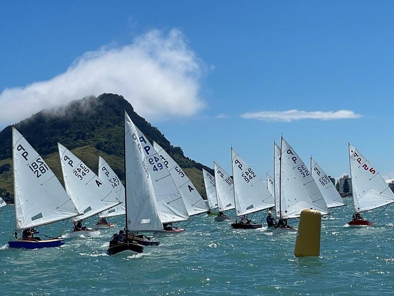 Secretaries Cup 2026 - photo © Grace Bollen