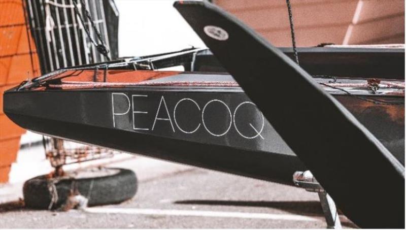 The Peacoq photo copyright Peacoq taken at  and featuring the Peacoq class