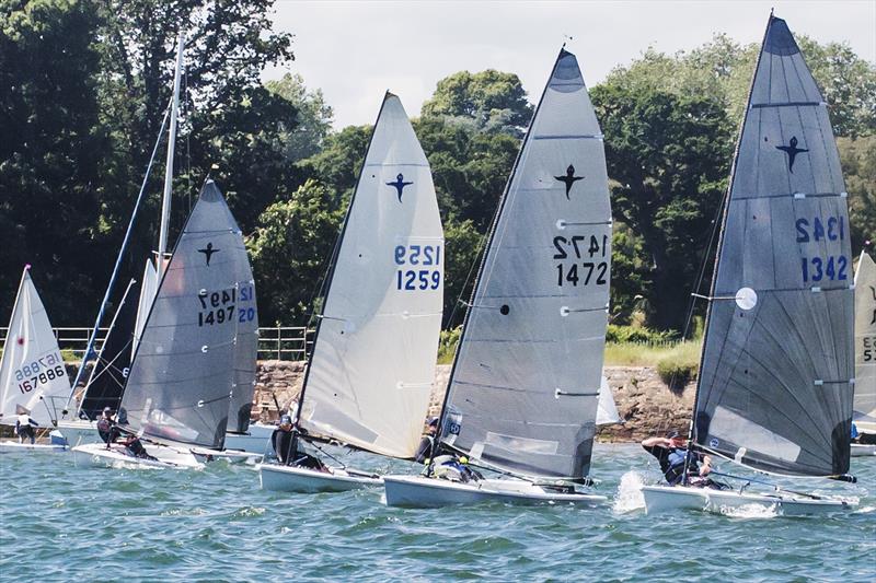 Startline during the CoastWaterSports Starcross Phantom  - photo © Richard Fryer