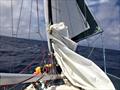 Aboard the S/V Beaufort with a broken gooseneck during the SDSA's 2020 Homeward Bound Flotilla © Salty Dawg Sailing Association