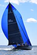 2023 American YC Spring Regatta © American Yacht Club