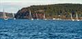 Racecourse action at the Tacoma Yacht CLub's WInter Vashon race © Mike Milligan