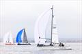 2025 Yachting Cup © Colin Grey