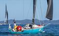 CU - 2026 Doyle Sails Round North Island Two Handed Yacht Race - March 2, 2026